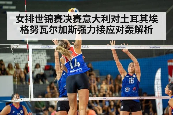 女排世锦赛决赛意大利对土耳其埃格努瓦尔加斯强力接应对轰解析